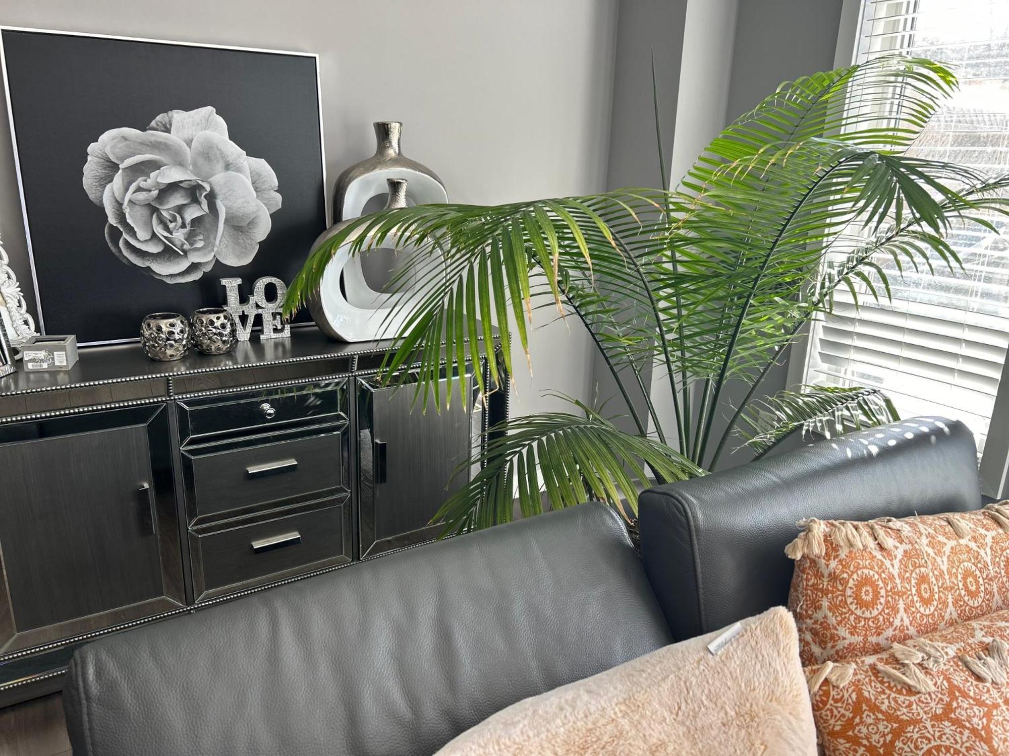 Ferienwohnung Jahsavvy'S Nest Hamilton Exterior foto